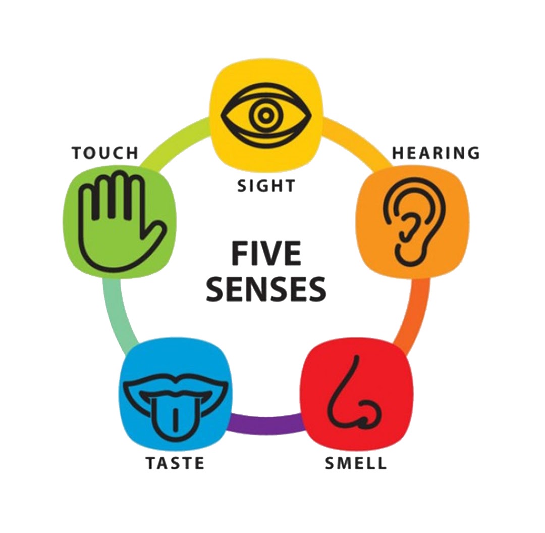“Helping Our Senses Come Alive: Five Senses Poetry” – Andrea Vaillancourt